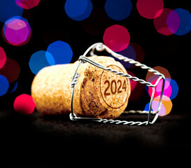 New Year's Lifestyle 2024