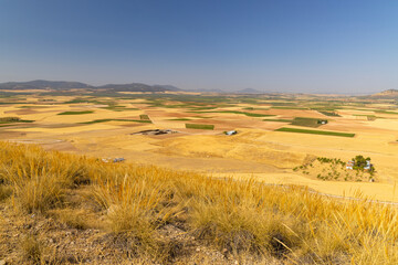 Fototapeta na wymiar landscape of Castilla La Mancha near Consuegra, Spain