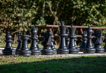 The Black Team for Garden Chess