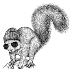 Vintage engraving isolated squirrel set illustration ink gnawer sketch. Forest background rodent animal silhouette art. Black and white hand drawn image © Turaev