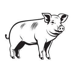 Fototapeta premium Pig in cartoon, doodle style. Isolated 2d vector illustration in logo, icon style, Eps 10. AI Generative