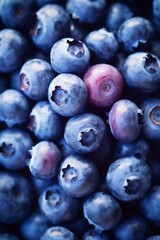 Berries in Focus. Blueberry Macro Texture