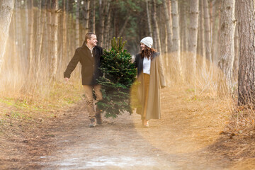 Cheerful couple carrying spruce tree in woods