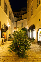 Christmas treeon street in downtown, Vienna, Austria