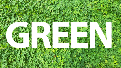 green shape on the grass