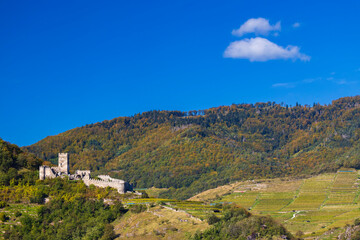Obraz premium Hinterhaus castle ruins (Ruine Hinterhaus), Spitz, Wachau, UNESCO site, Lower Austria, Austria