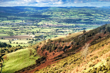 Naklejka premium View from the Top of the Hill in the Clwydian Range, Moel Famau Country Park, UK.)