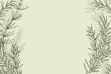 Background with fir branches for text, hand drawn vector illustration boho ornament. Floral backdrop with plants natural motive for congratulations Winter holidays, New Year, Christmas for card, web