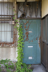 廃墟になったアパートのドア　Door of an abandoned apartment building