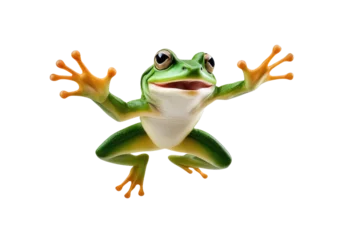 Zelfklevend Fotobehang a high quality stock photograph of a single jumping happy frog isolated on a white background © ramses