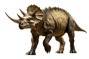 Fototapeta premium a high quality stock photograph of a single Stegosaurus full body isolated on a white background