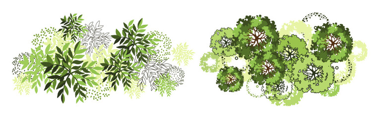 Tree for architectural floor plans. Entourage design. Various trees, bushes, and shrubs, top view for the landscape design plan. Vector illustration.