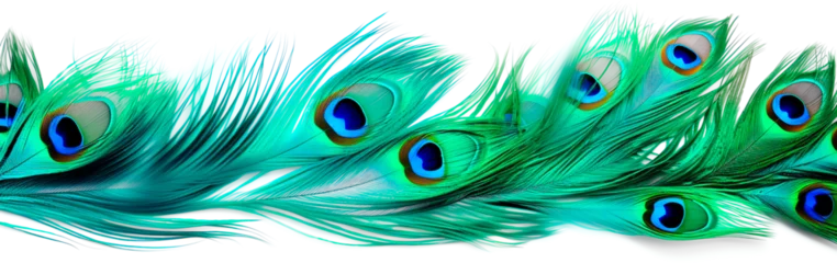 Fotobehang iridescent peacock feathers teal blue and emerald green transparent texture © mr_marcom