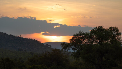 Fototapeta na wymiar landscapes of Kruger national park
