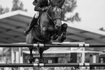 A horse jumping themed photograph, a horse jumping over an obstacle