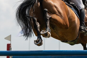 A horse jumping themed photograph, a horse jumping over an obstacle