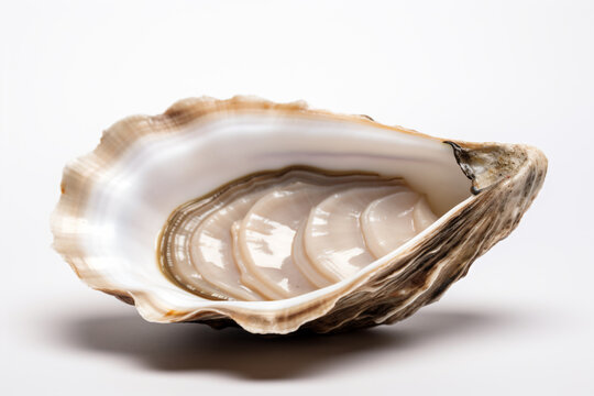 a close up of a oyster shell on a white surface