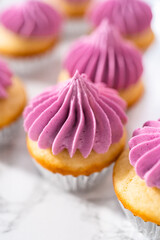 Mini Vanilla Cupcakes with Pink Buttercream Frosting