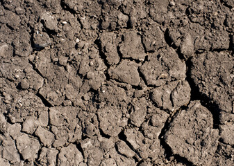 close up soil background, top view