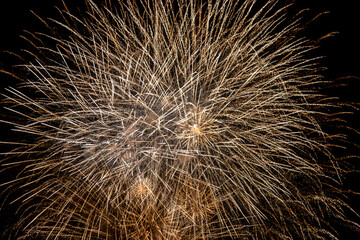 Fireworks exploding against the night sky