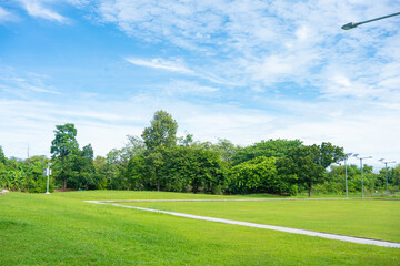 Green city public park meadow grass sunshine blue sky with cloud