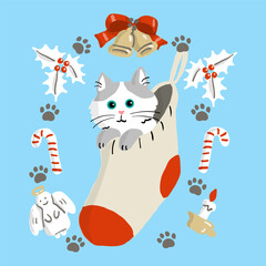 クリスマスの靴下に入った子猫とクリスマスの飾り