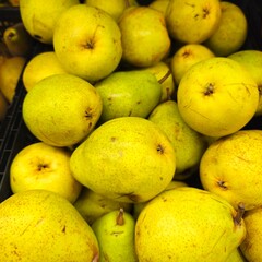 A large pile of green potatoes