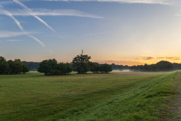 Beautiful autumn landscape at sunrise. Clearing fog. Pohansko Czech Republic Europe