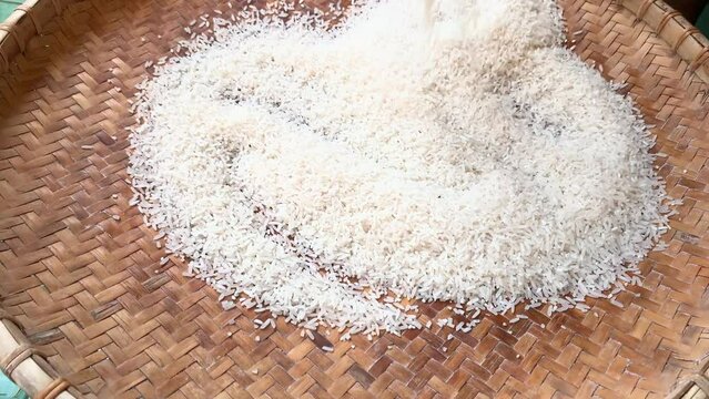 cleaning and winnowing rice on a round rattan tray 