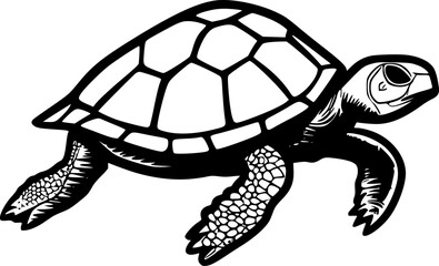 Fototapeta premium Turtle - Minimalist and Flat Logo - Vector illustration