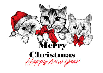 Vector Christmas card with 3 cats with bows and a Santa hat in engraving style