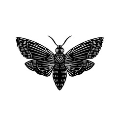 Dead head moth illustration. Witchy magic symbol. Linocut print style. Vector.