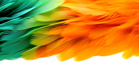 colorful orange and green feathers texture