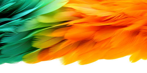 colorful orange and green feathers texture