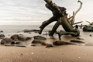 Mystic Echoes: Sea Rocks and the Enigmatic Fallen Tree, a Long Exposure Tale of Nature's Surreal Symphony