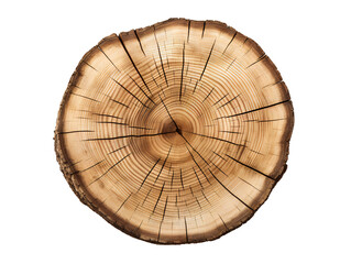 Fototapeta premium Natural Tree Stump Slice, isolated on a transparent or white background