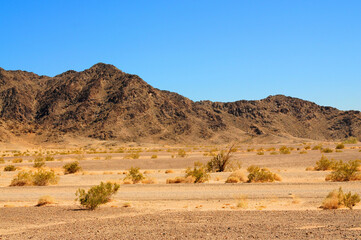 Sonora Desert Arizona
