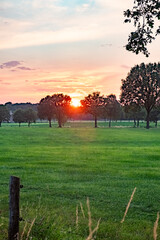 This image beautifully frames a rustic sunset peeking through the silhouetted trees in the countryside. The fence in the foreground is characteristic of a pastoral setting, leading the eye towards the - obrazy, fototapety, plakaty