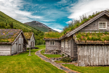 Fototapeta na wymiar Abandoned cabins hut with turf grass blooming roof in Norway