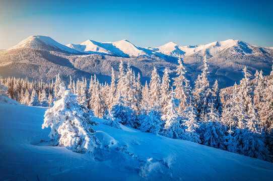 Beautiful sunrise in winter snowy mountains