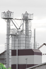 Silo tower storage agricultural products grain seed industrial plant production wheat manufacturing