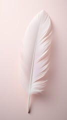 A minimalist design art with a single elegant feather placed on a pastel grey background. Vertically oriented. 
