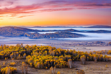 Beautiful grassland and mountain natural landscape at sunrise in Inner Mongolia, China. Birch trees and mountain with grassland natural landscape in autumn season.