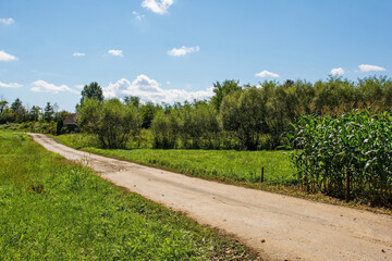 The rural summer landscape near Grabovac Banski village close to Petrinja in Sisak-Moslavina County, Central Croatia. Early September