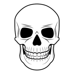 Skull. Design element for poster, card, banner, sign. Vector illustration