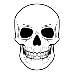 Skull. Design element for poster, card, banner, sign. Vector illustration