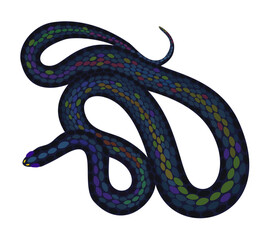 Black snake. Vector isolated illustration.