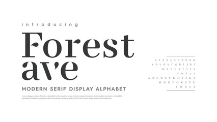 Abstract modern vintage alphabet fonts. Elegant Uppercase lowercase typeface. Typography fashion stylish font. Vector illustration