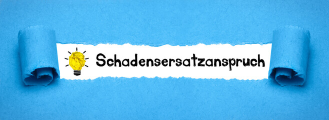 Schadensersatzanspruch	