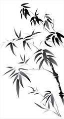 Vector of brush effect bamboo. Black and white bamboo with white background.